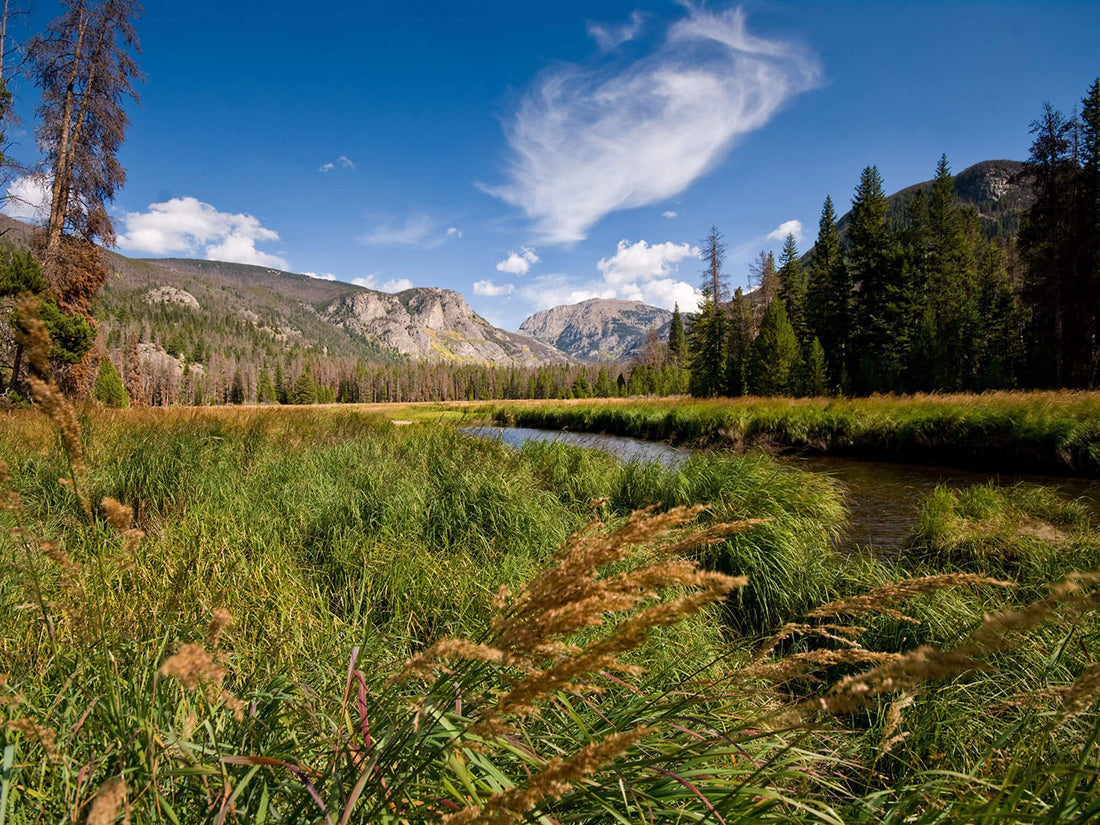 Backpacking in Rocky Mountain National Park: An Insider’s Guide