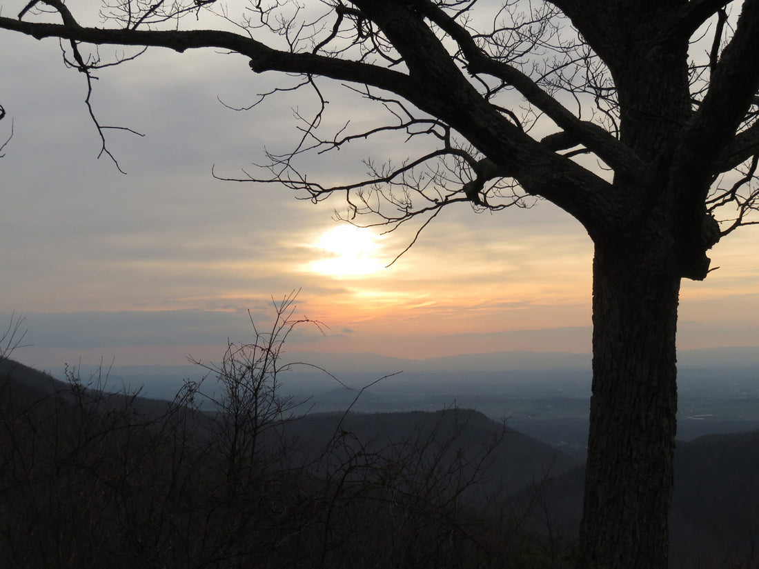 Backpacking in Shenandoah National Park: An Insider’s Guide