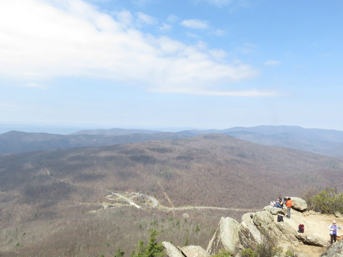 Hiking in Shenandoah National Park: An Insider’s Guide