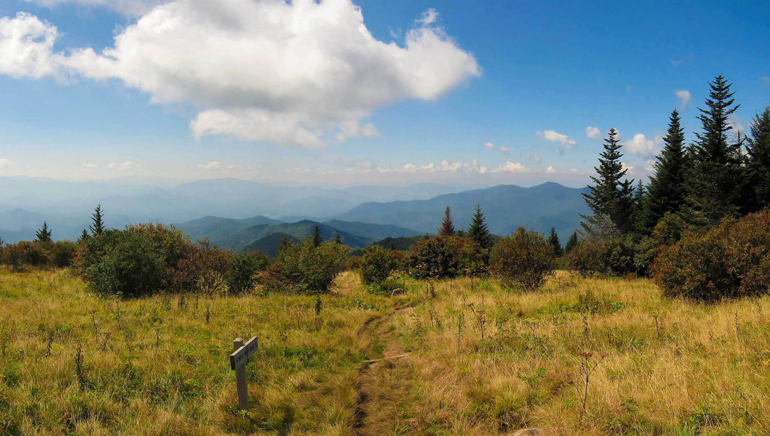 Hiking in the Smokies: An Insider’s Guide