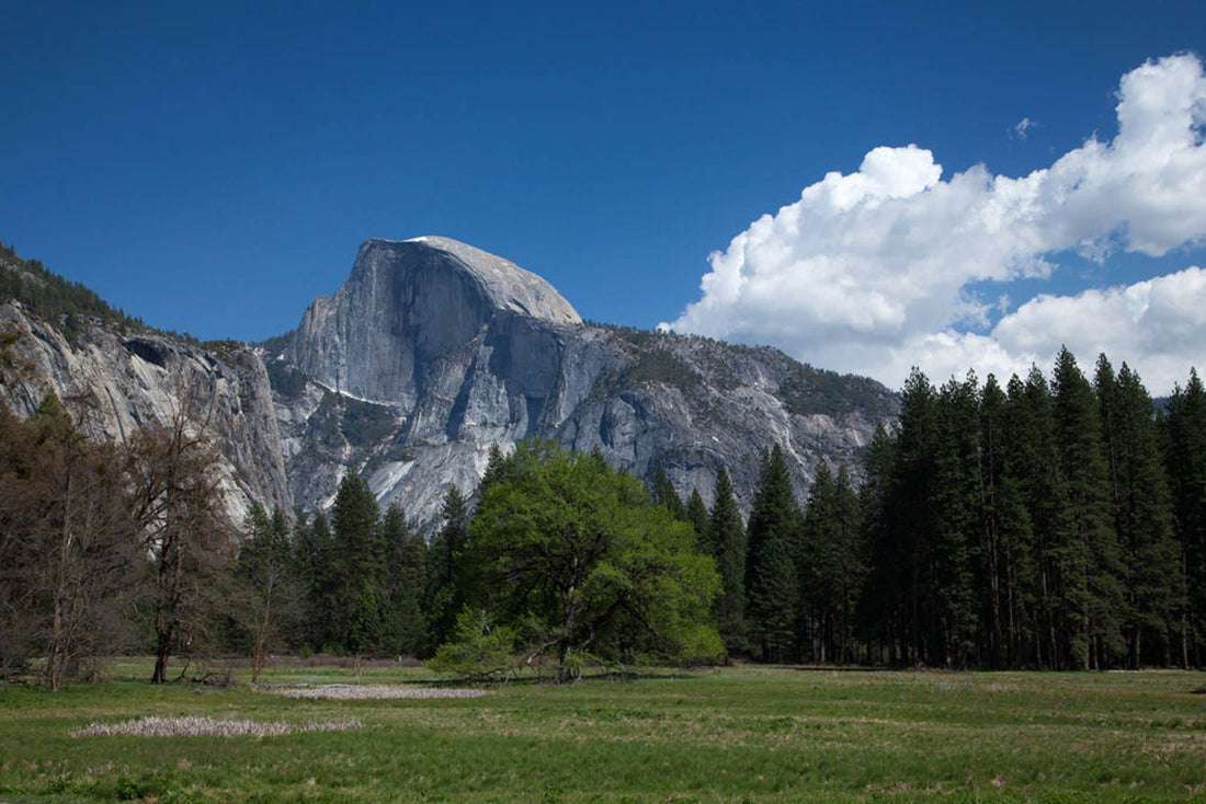 Trail Running in Yosemite National Park: An Insider’s Guide