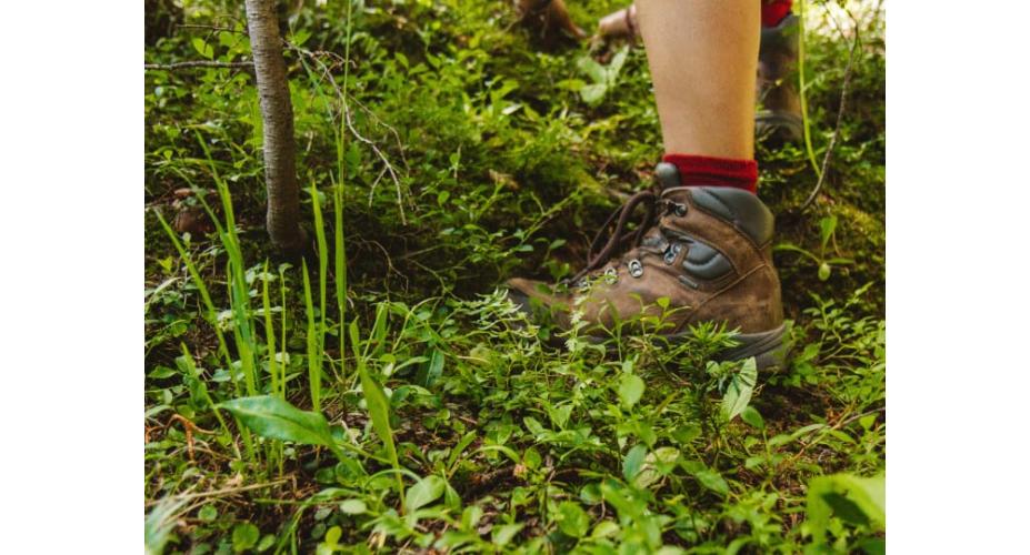 Hikers on Preventing and Treating Blisters